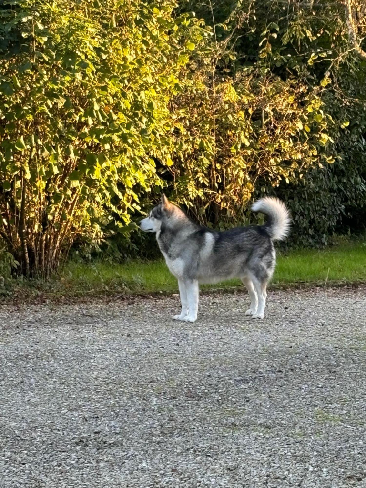 Willa Loft Prive Proche Beauval Et Chambord Lassay-sur-Croisne Zewnętrze zdjęcie